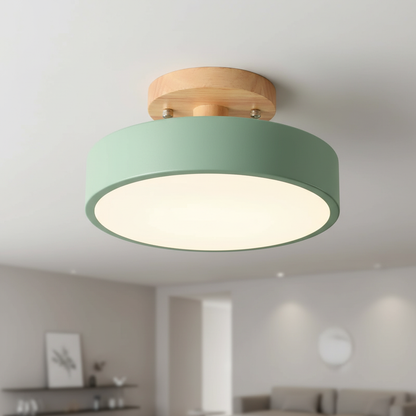 Minimalistisches Flaches Deckenleuchtenmodell - Woodluma