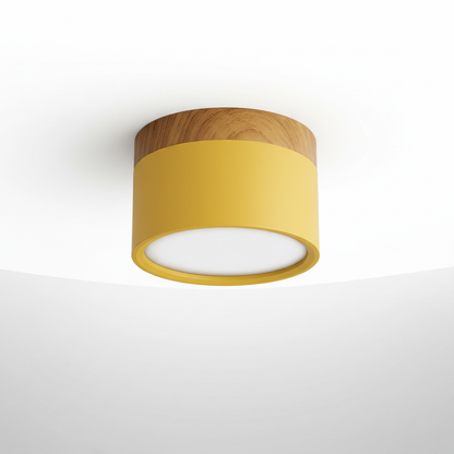 Moderne Deckenleuchte Metall Acryl - Ceilora