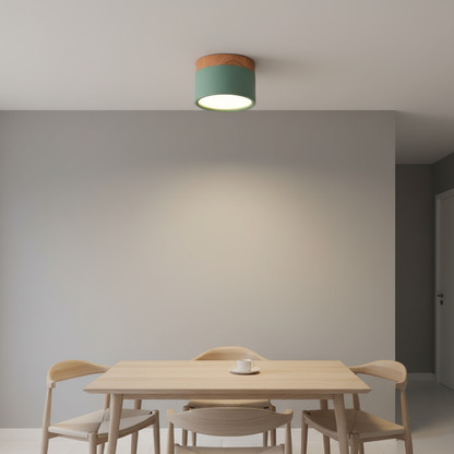 Moderne Deckenleuchte Metall Acryl - Ceilora