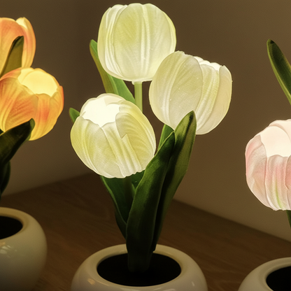 Tischdekoration Mit USB Stromversorgung - MoonPetal